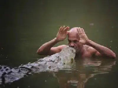 Thic Duc punches croc